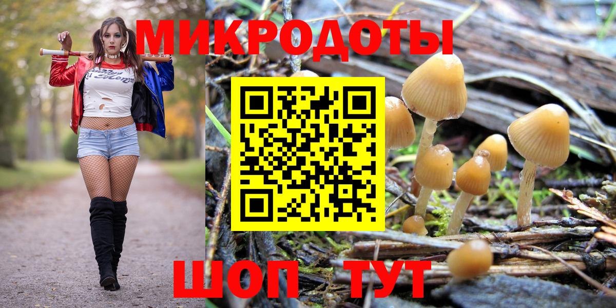 Галлюциногенные грибы MAGIC MUSHROOMS Армавир